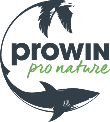 logo_prowin